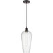 Edison Chelsea 1 Light 8 inch Oil Rubbed Bronze Mini Pendant Ceiling Light in Seedy Glass