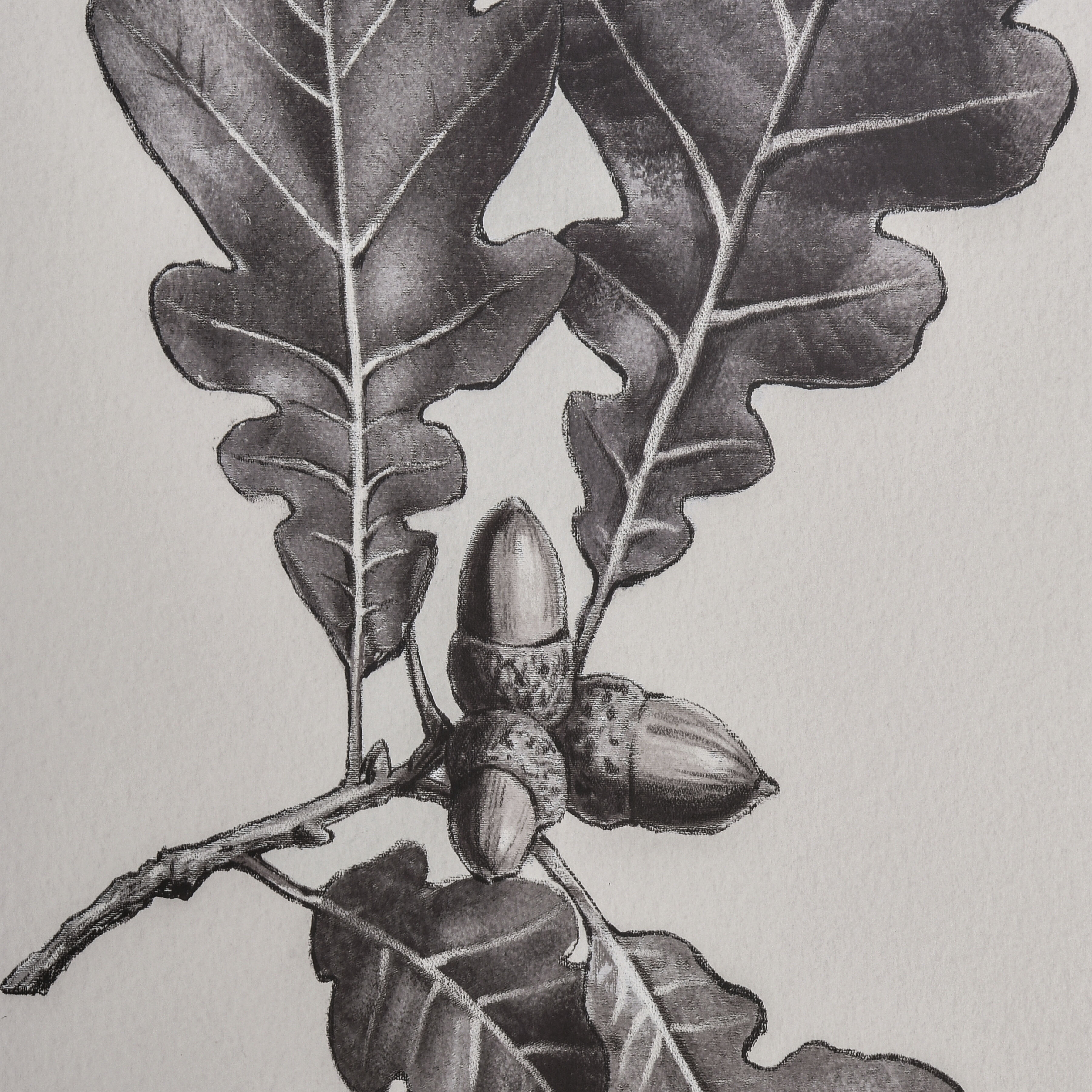 Foliage I Ivory Framed Wall Art, Botanic