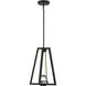Haven LED 14 inch Matte Black Pendant Ceiling Light