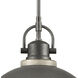 North Shore 1 Light 18 inch Iron with Palisade Gray Outdoor Pendant