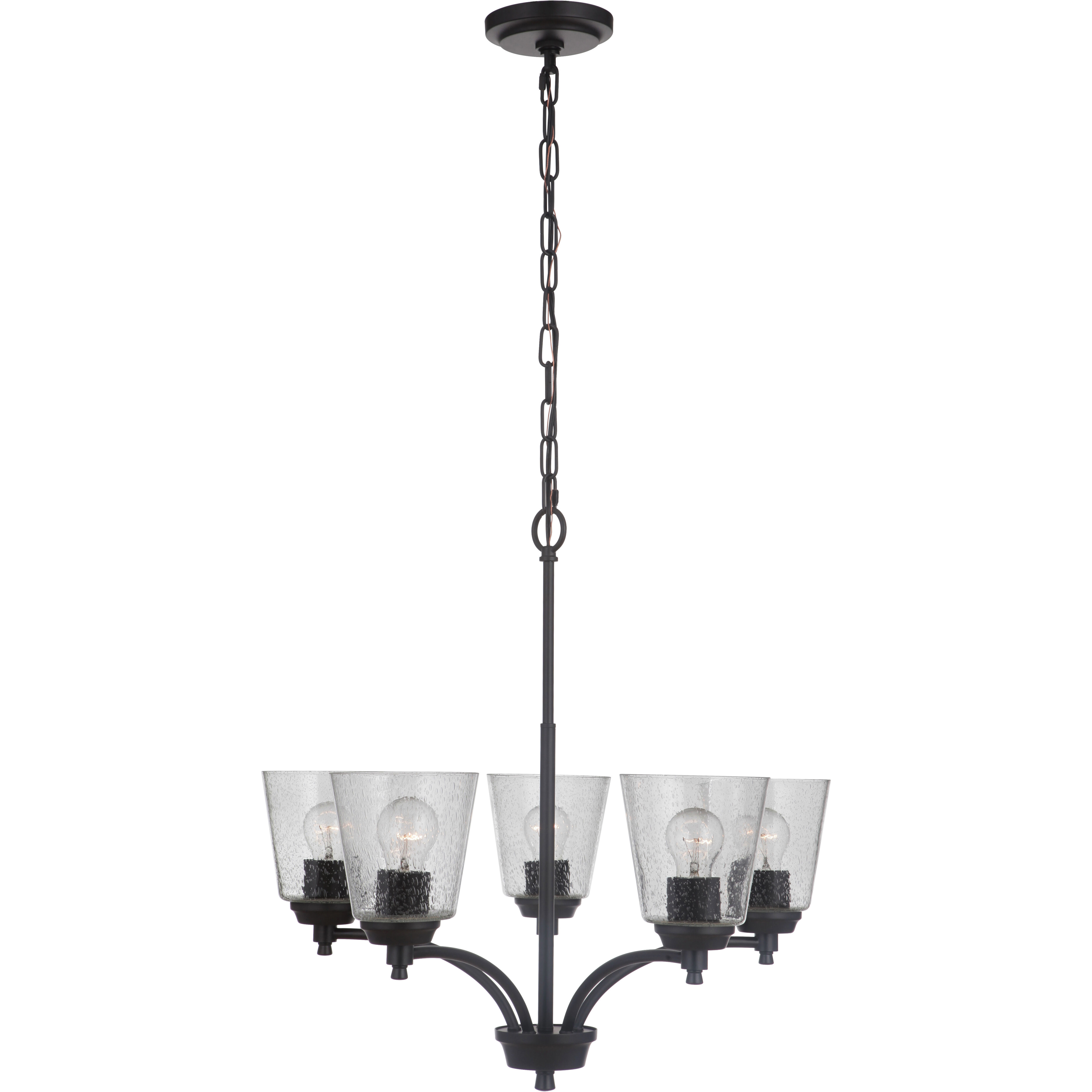 Neighborhood Tyler 5 Light 25 inch Flat Black Chandelier Ceiling Light in Clear Seeded, Neighborhood Collection