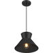 Mid-Century Modern 1 Light 12 inch Matte Black Pendant Ceiling Light