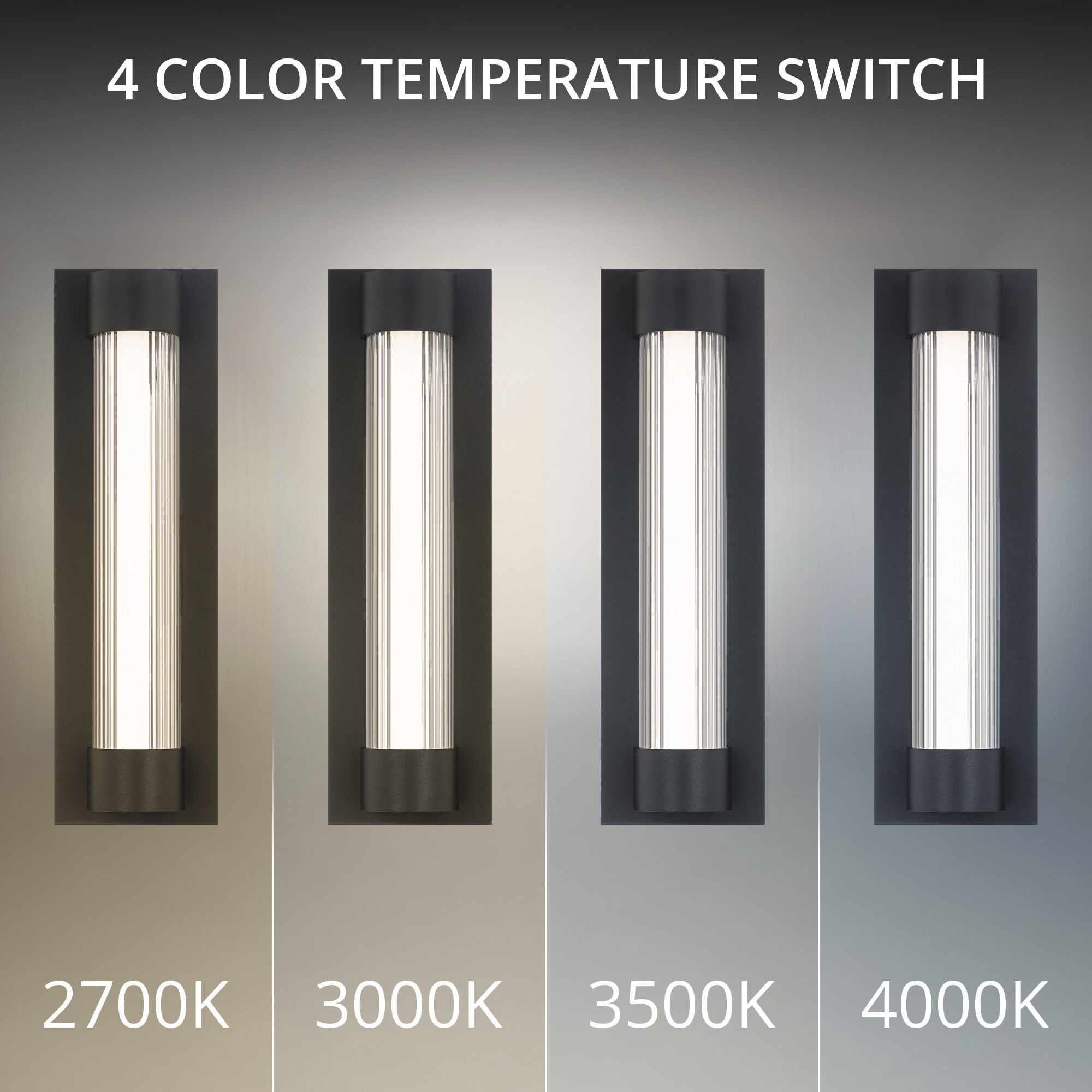 Chyzel LED 18 inch Black Outdoor Wall Lighting in 2700K