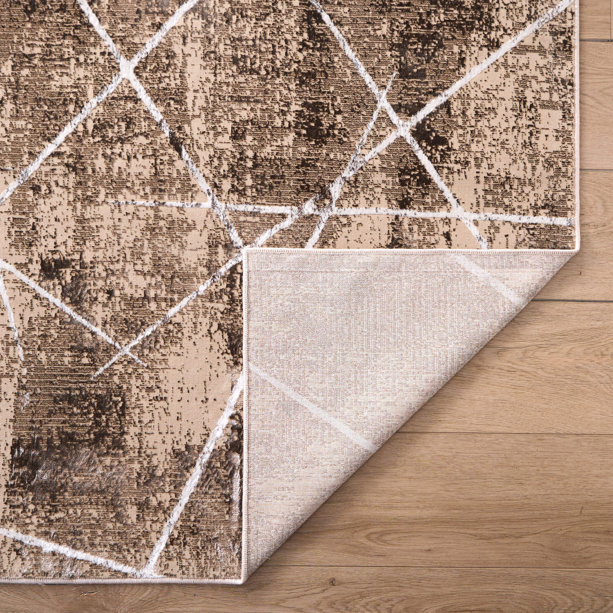 Rienz 36 X 24 inch Earth Tones Rug in 2 x 3