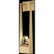 Strata Wall Sconce Wall Light in Gold