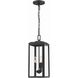 Byron 3 Light 7.5 inch Matte Black Outdoor Pendant