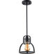 Canton 1 Light 8 inch Bronze Mini Pendant Ceiling Light