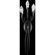 Secret Garden LED 4 inch Black Wall Sconce Wall Light, Schonbek Signature