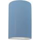 Ambiance LED 5.75 inch Sky Blue Wall Sconce Wall Light