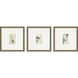 Antique Botanical Green and Beige and Multi and Neutral Framed Art