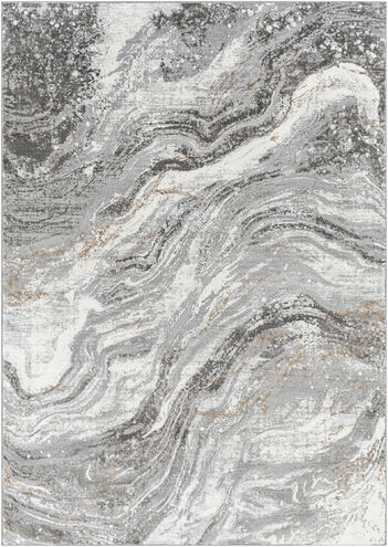 Allegro 84 X 63 inch Taupe Rug, Rectangle