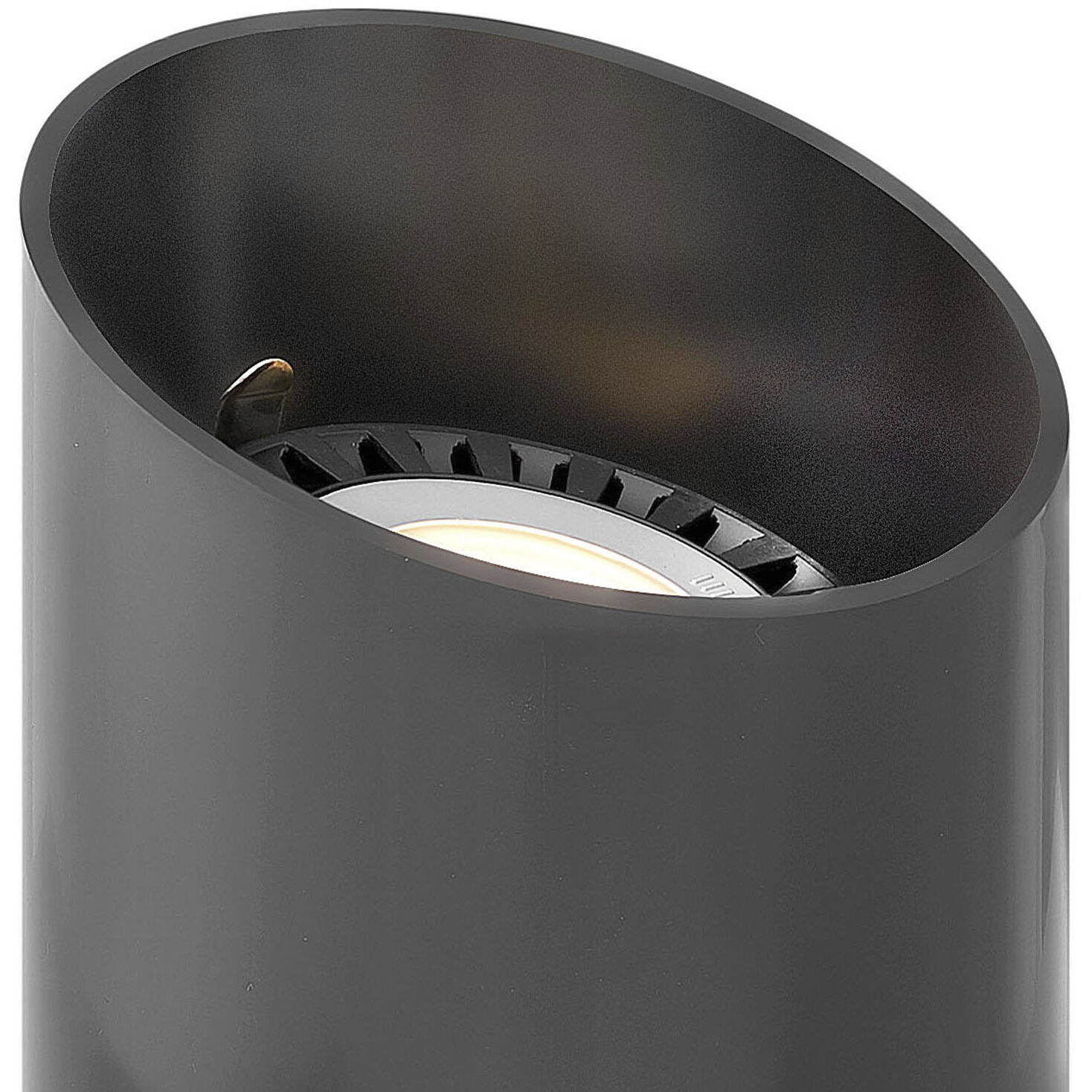 Hardy Island 12v 13.00 watt Black Landscape Well Light, Reversible