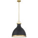 Lynk 1 Light 16.5 inch Legacy Brass and Matte Coal Pendant Ceiling Light