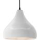Radiance LED 13.5 inch Bisque and Matte Black Pendant Ceiling Light