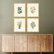 Delicate Medley Multi and Green and Blue and Yellow Framed Art
