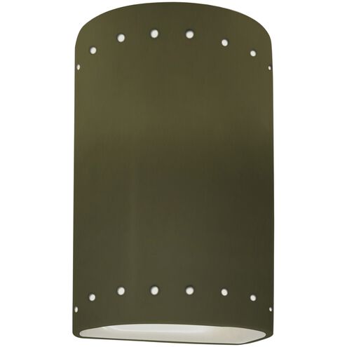 Ambiance LED 5.75 inch Matte Green Wall Sconce Wall Light
