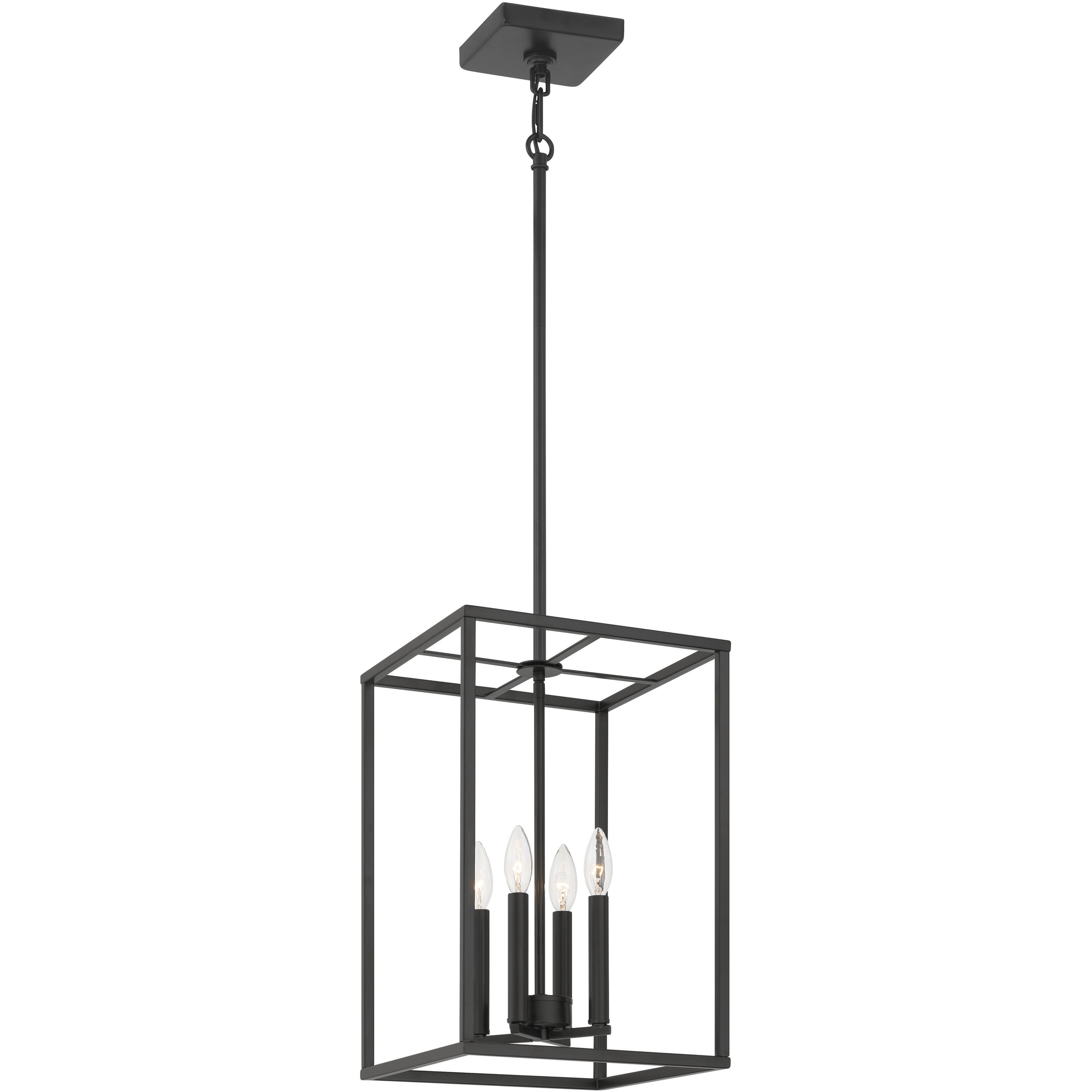 Signature 4 Light 12 inch Flat Black Foyer Light Ceiling Light