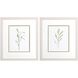 Florals Collection Green Framed Art