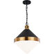 Sphericon 3 Light 14 inch Matte Black and Aged Gold Brass Pendant Ceiling Light in Aged Gold Brass and Opal Glass