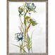 Florals Collection Multi Framed Art