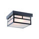 Artisan 2 Light 10 inch Matte Black Exterior Flushmount
