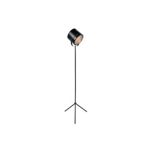 Lucine 61 inch 40.00 watt Black Floor Lamp Portable Light