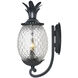 Lanai 2 Light 18 inch Matte Black Exterior Wall Mount