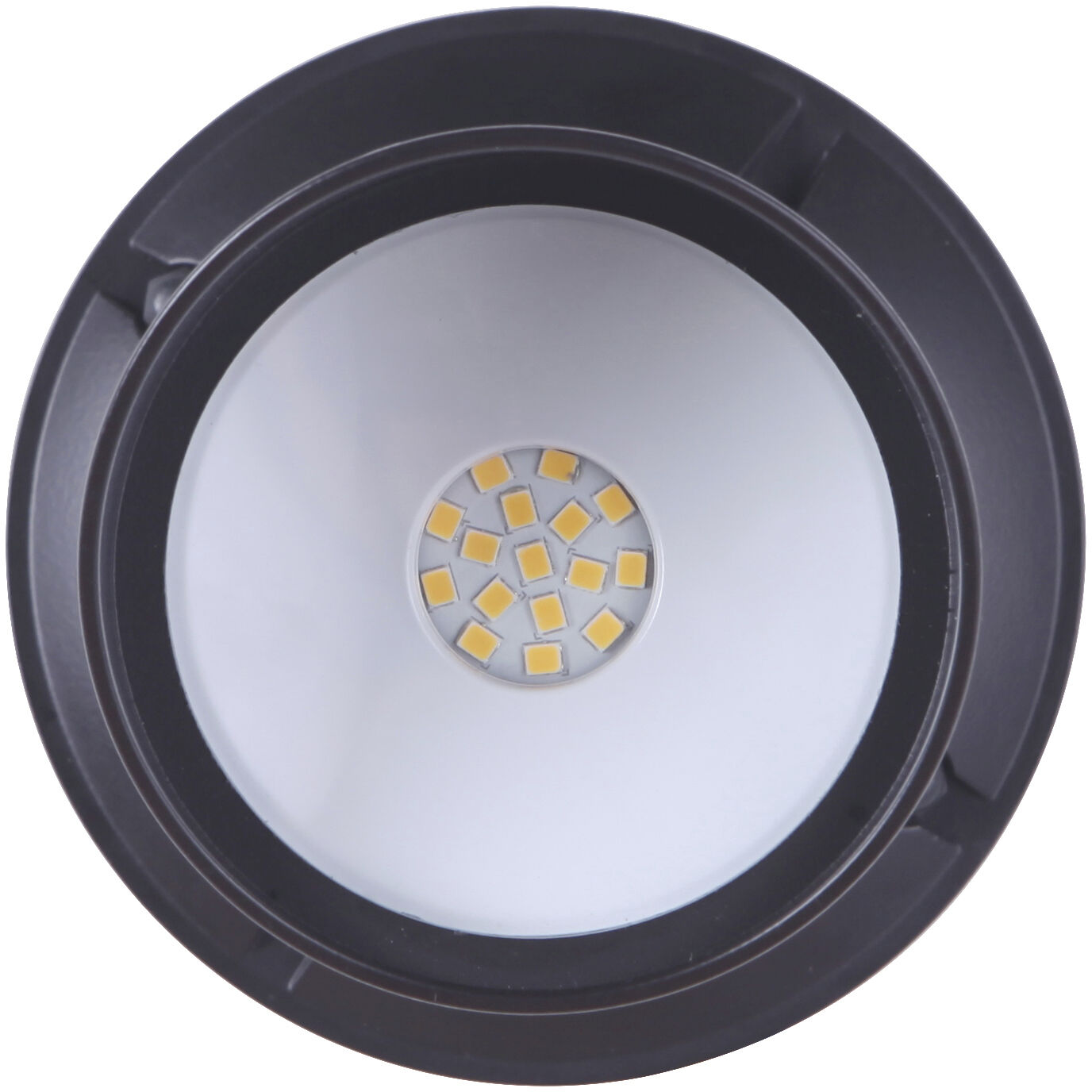 Bejamin LED Midnight Outdoor Flood