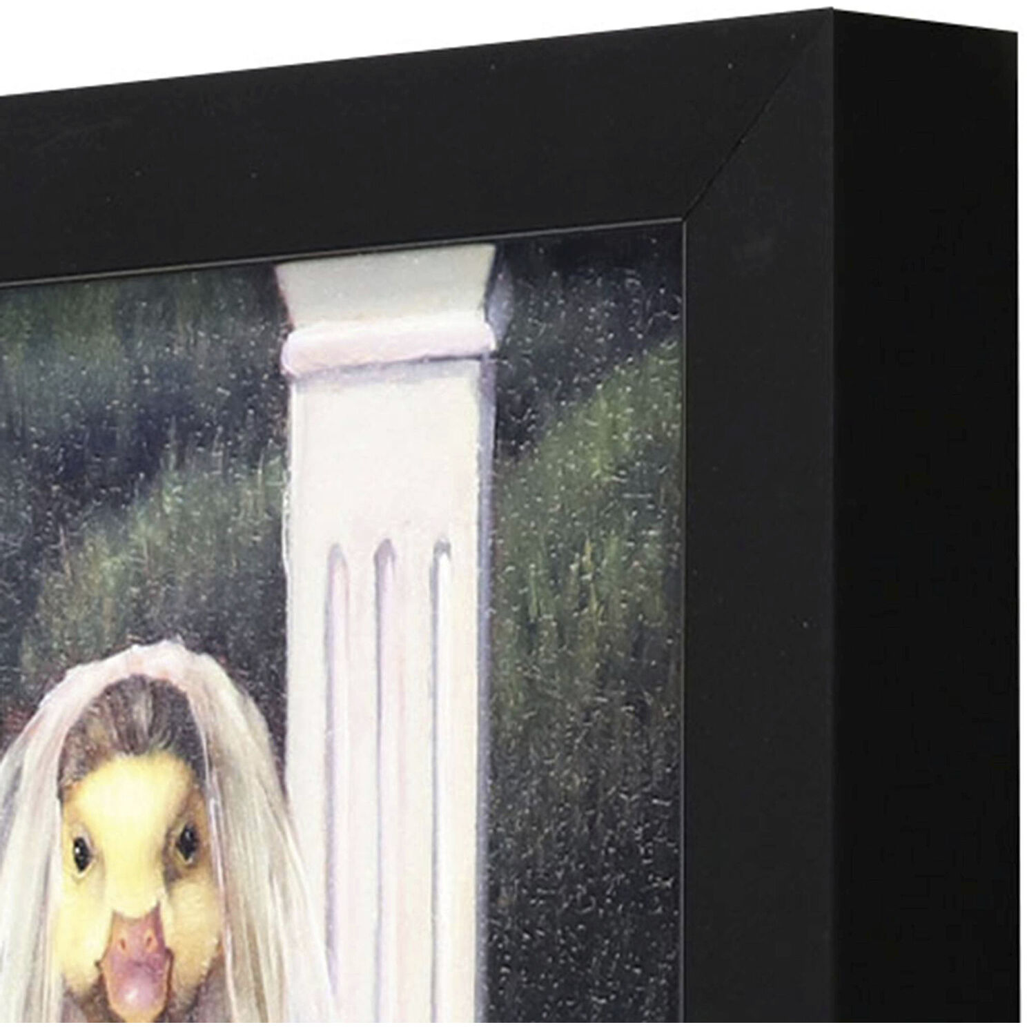 Animals 11 X 9 inch Non-Glass Framed Art, Propac