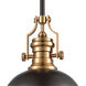Sabrina 1 Light 13 inch Oil Rubbed Bronze with Satin Brass Pendant Ceiling Light