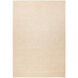 Latur 36 X 24 inch Neutral Rug in 2 x 3