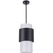 Jupiter II 1 Light 10.5 inch Black Pendant Ceiling Light