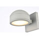 Raine 5 inch Silver Outdoor Wall Light