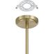 Dahlia LED 36 inch Brass Chandelier Ceiling Light