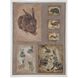 Rabbits and Hares Brown with Light Brown and White Framed Wall Art