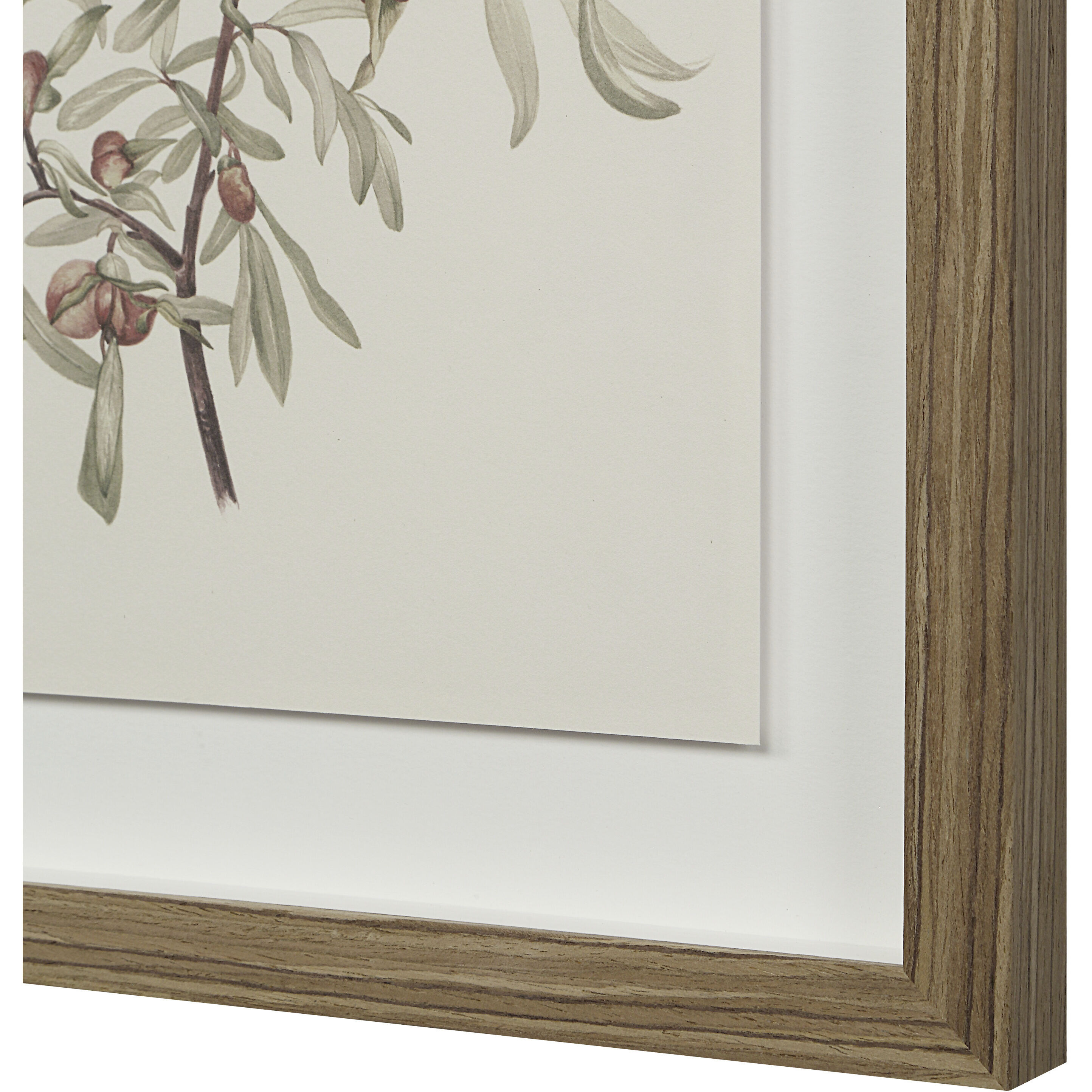 Crema 15 X 13.25 inch Printed Artworks, Set of 9