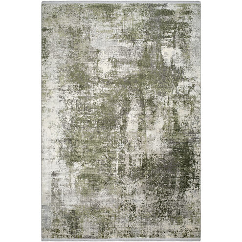 Solar 118.11 X 38.58 inch Light Gray/Off-White/Gray/Olive Machine Woven Rug in 3.25 x 10