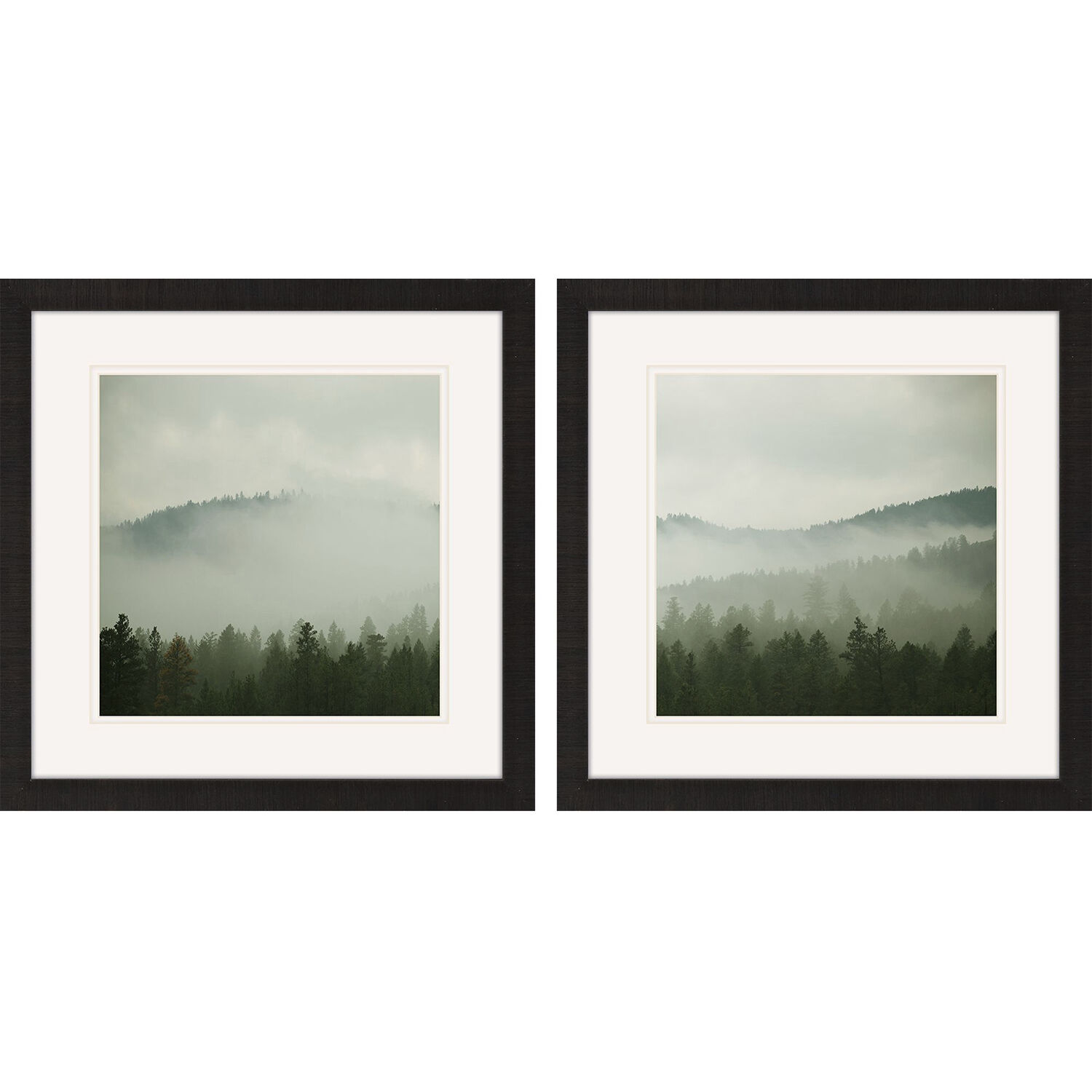 Photography Green Framed Art, Propac