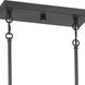 Traci Island Light Ceiling Light in Flat Black