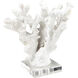Coral 12 X 8 inch Sculpture