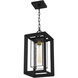 Infinger 1 Light 9 inch Earth Black Outdoor Hanging Lantern, Large