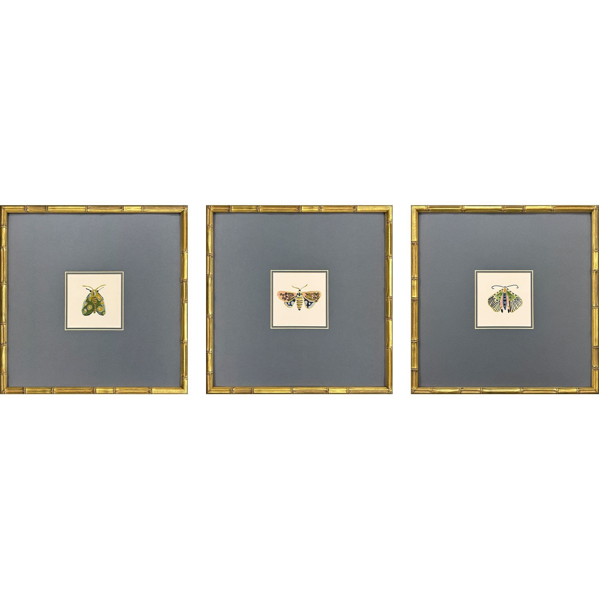 Pastel Moths Green and Blue and Multi and Pink Framed Art