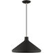 Allison 1 Light 15 inch Black Mini Pendant Ceiling Light