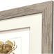 Antique Crab Brown and Neutral and Beige Framed Art, Propac