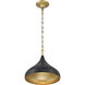 Cedar Lane 1 Light 12.75 inch Legacy Brass and Matte Coal Pendant Ceiling Light