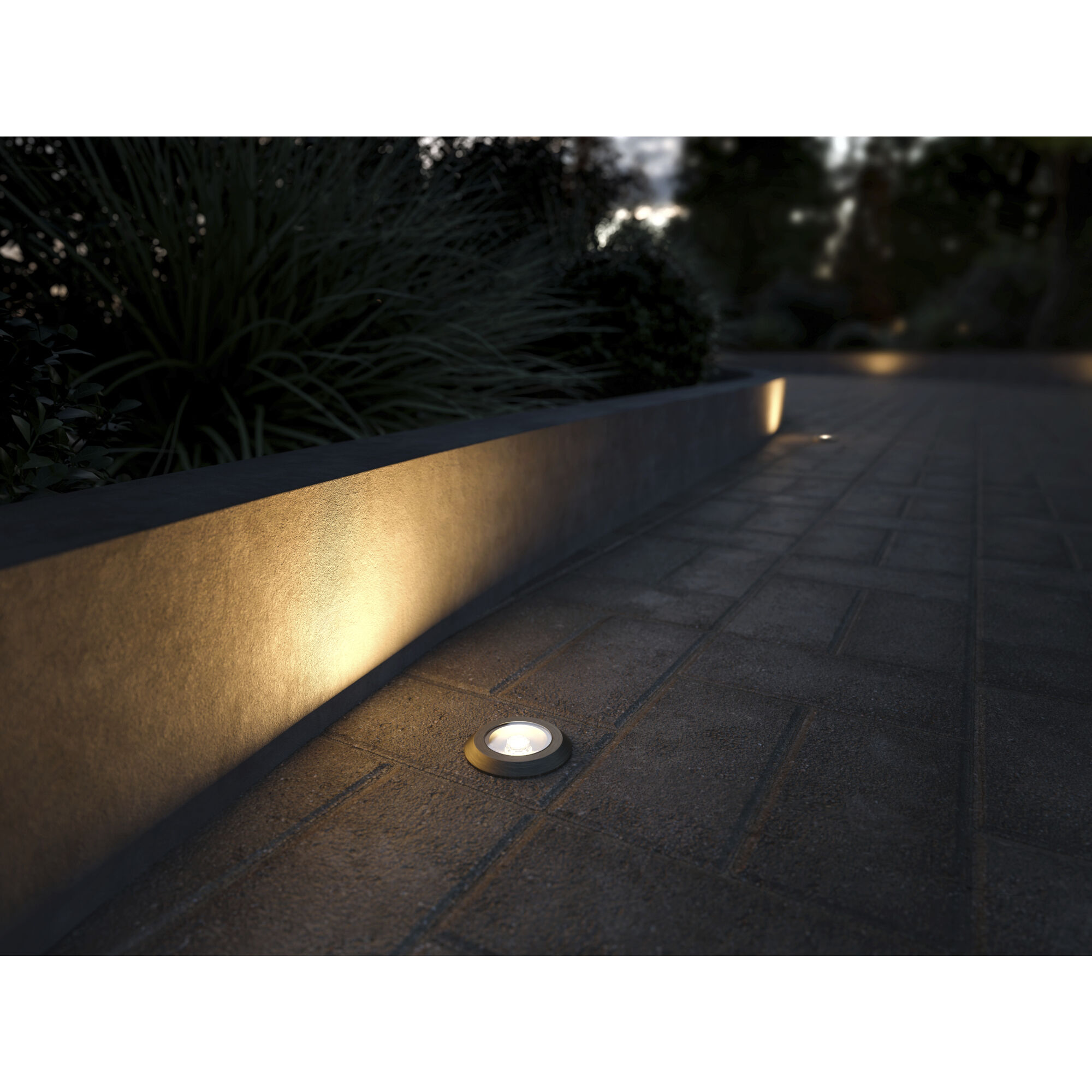 Landscape LED 12 3.50 watt Centennial Brass Landscape 12V LED Inground in 2700K
