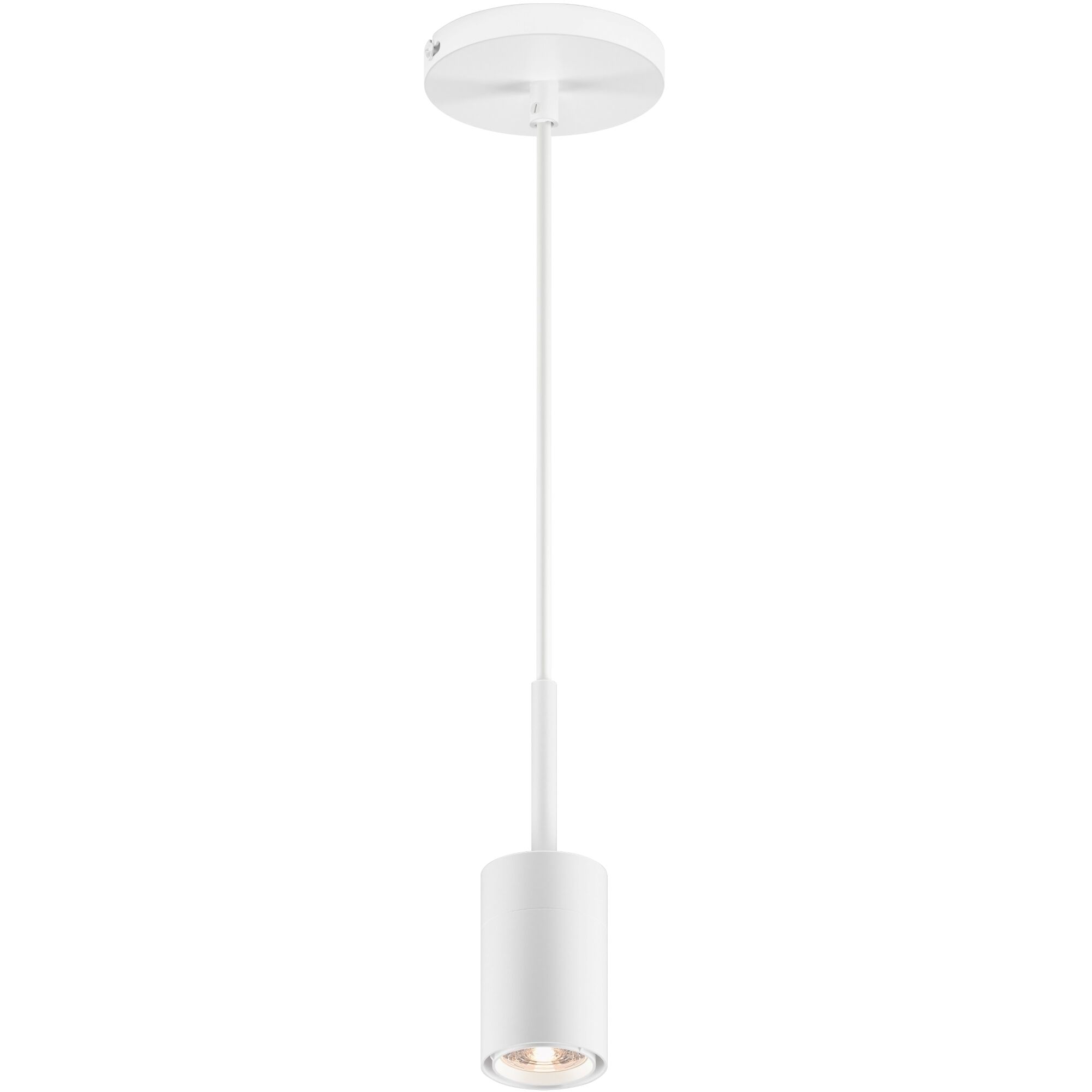 GX10 1 Light 4.50 inch Pendant
