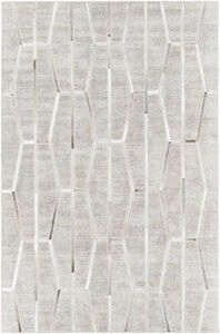 Eloquent 36 X 24 inch Light Gray Rug in 2 x 3, Rectangle