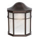 Signature LED 10 inch Antique Bronze Outdoor Wall Light
