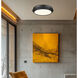 Quasars LED 16 inch Matte Black Flush Mount Ceiling Light